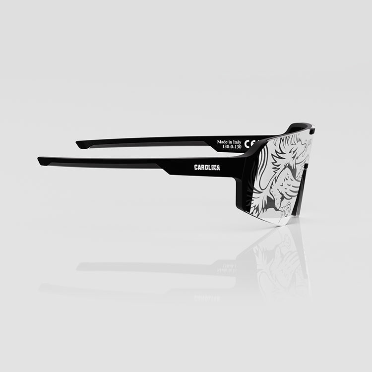 South Carolina - Defender™